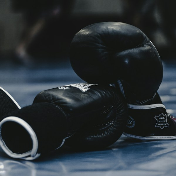 Heavy Duty Boxing Punching Bag
